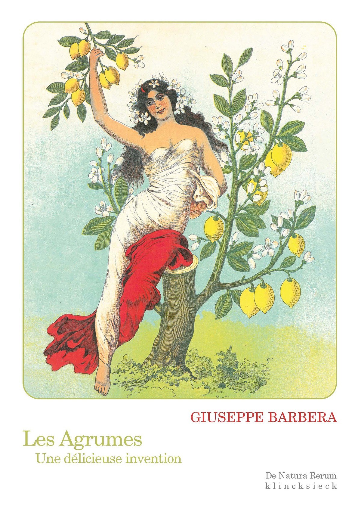 LES AGRUMES UNE DELICIEUSE INVENTION