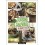CUISINE SAUVAGE - 50 RECETTES DE PLANTES AU FIL DES SAISONS