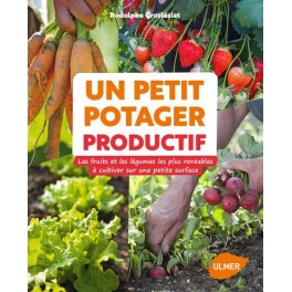 UN PETIT POTAGER PRODUCTIF