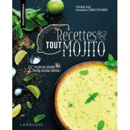 RECETTES TOUT MOJITO
