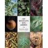 LES BIENFAITS DES ARBRES