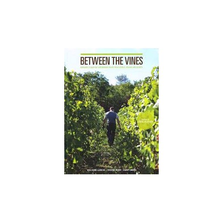 BETWEEN THE VINES (anglais)