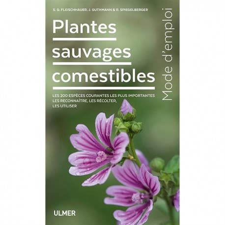PLANTES SAUVAGES COMESTIBLES