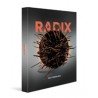 RADIX (anglais espagnol)