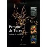 POMME DE TERRE cultures & créations