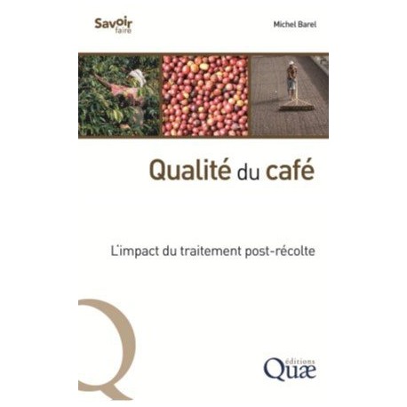 QUALITE DU CAFE: l'impact du traitement post récolte