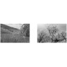 VIGNOBLE D'ALSACE - MOMENTS INSOLITES