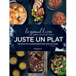 LE GRAND LIVRE POUR CUISINER AVEC JUSTE UN PLAT