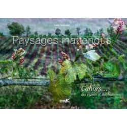 PAYSAGES INATTENDUS CAHORS... DES VIGNE SET DES HOMMES