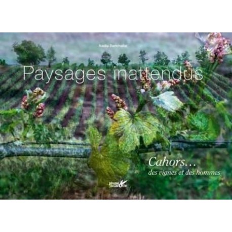 PAYSAGES INATTENDUS CAHORS... DES VIGNE SET DES HOMMES
