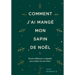 COMMENT J'AI MANGE MON SAPIN DE NOEL