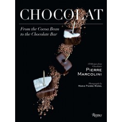 CHOCOLAT FROM THE COCOA BEAN TO THE CHOCOLATE BAR (ANGLAIS)