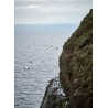 KOKS FAROE ISLANDS FLAVOUR