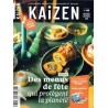 KAIZEN N°65 - explorateur de solutions écologiques et sociales