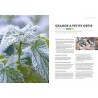 PLANTES SAUVAGES COMESTIBLES EN AUTOMNE & HIVER