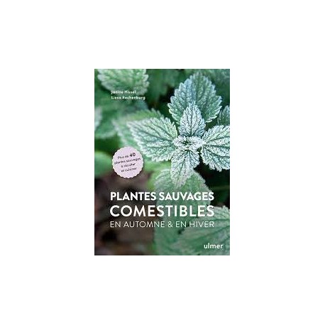 PLANTES SAUVAGES COMESTIBLES EN AUTOMNE & HIVER