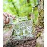 ABSINTHE