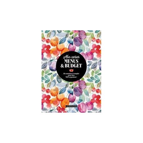 MON CAHIER MENUS & BUDGET