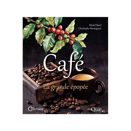 QUALITE DU CAFE: l'impact du traitement post récolte