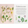 LE CARNET DE RECETTES D'UNE CUEILLEUSE