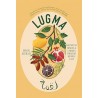 LUGMA: abundant dishes & stories from my middle east (anglais)