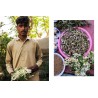 PAKISTAN: recipes and stories from home kitchens, restaurants, and roadside stands (anglais)
