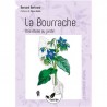 LA BOURRACHE, une étoile au jardin