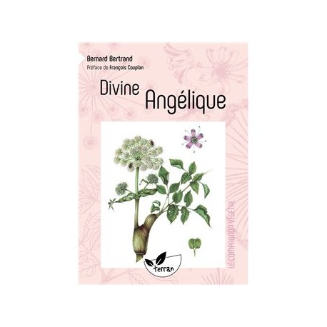DIVINE ANGELIQUE