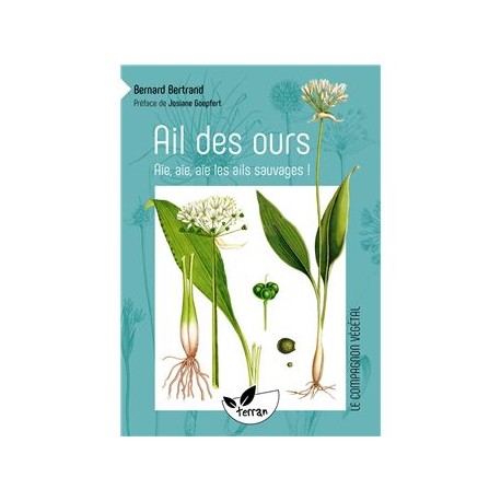 AIL DES OURS. Aïe, aïe, aïe les ails sauvages !