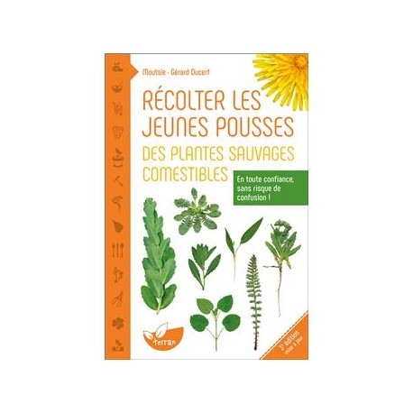 RECOLTER LES JEUNES POUSSES DES PLANTES SAUVAGES COMESTIBLES