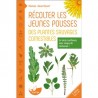 RECOLTER LES JEUNES POUSSES DES PLANTES SAUVAGES COMESTIBLES
