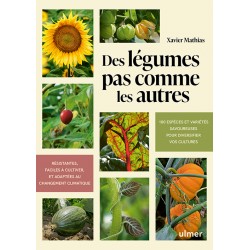 DES LEGUMES PAS COMME LES AUTRES