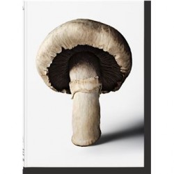 THE GOURMAND'S MUSHROOM: a collection of stories and recipes (anglais)