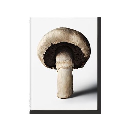 THE GOURMAND'S MUSHROOM: a collection of stories and recipes (anglais)