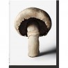 THE GOURMAND'S MUSHROOM: a collection of stories and recipes (anglais)