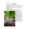 CULTIVES LES LEGUMES DU JAPON