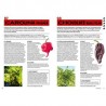 100 PIMENTS A CULTIVER ET A DEGUSTER: ça va piquer !