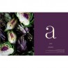 NOUVELLES OBSESSIONS VEGETALES