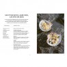 LA CUISINE DES ALGUES