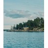 THE SWEDISH COOKBOOK