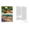 CULTIVER SES CHAMPIGNONS: en planche, en seau, sur bûche