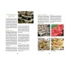 CULTIVER SES CHAMPIGNONS: en planche, en seau, sur bûche