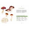 CULTIVER SES CHAMPIGNONS: en planche, en seau, sur bûche
