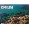 RIVIERA, recipes from the coast of France & Italy