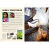 BOLLYFOOD: la cuisine indienne en 100 recettes