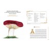 GRIMOIRE D'UNE CUEILLEUSE DE CHAMPIGNONS