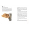 GRIMOIRE D'UNE CUEILLEUSE DE CHAMPIGNONS