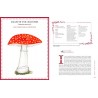 GRIMOIRE D'UNE CUEILLEUSE DE CHAMPIGNONS