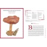 GRIMOIRE D'UNE CUEILLEUSE DE CHAMPIGNONS