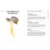 CUISINER LES CHAMPIGNONS DE NOS FORETS